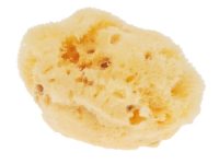 Sponge Aquarell big, fine (ca. 8cm)