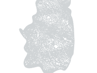 HammAirArt Organic Texture Stencil - Skin Like B