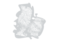 HammAirArt Skin Texture Stencil Combo 3in1
